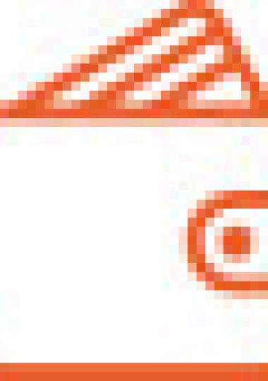 Icon (2)