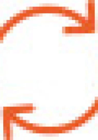 Icon (3)